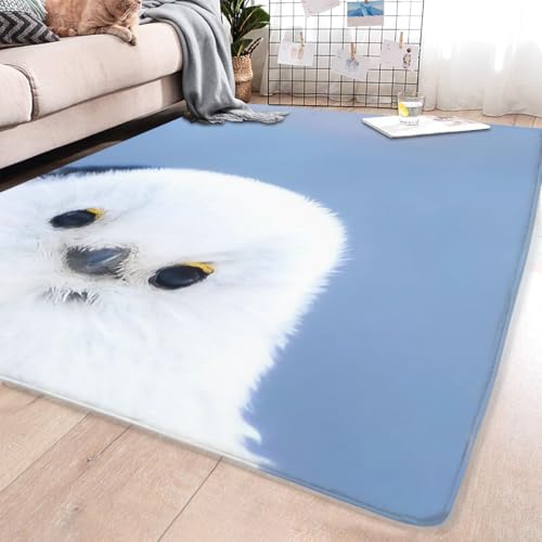 ���O �J�[�y�b�g �V�}�G�i�K ���� �O�~ ������� �k�� ���イ���� �����` �􂦂� ����~�� �h�� �t���A�}�b�g �t�����l�����O �����p ���ԗp �I�[���V�[�Y��