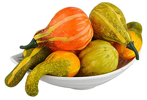 image for DAMEING 12Pcs Artificial Pumpkins and Gourds Simulation Realistic Mixt
