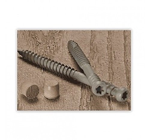 Starborn Wolf No. 10 x 2-3/4 in. L Star Trim Head Epoxy Coated Carbon Steel Deck Screws and Plugs Kit