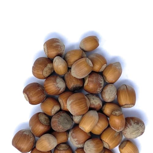 Il Contadino - Antichi Sapori | NOCCIOLE IN GUSCIO |