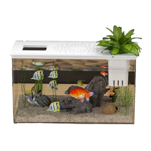 [Kirume]^ ƐA\ ANAE _J  ϗtA ^ _J ~j ItBX yz_[t eA e | vX`bN  e[u GRWJȃ~NhXP[v  RpNg ʋC M