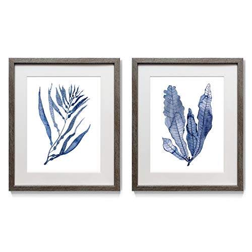 Floral Wall Art, Rustic Silver Distressed Frame 2-Piece Wall Décor Set: Plumeria, Marigold, Wild Flowers, Dogwood, Dandelion, Coral, Home & Office, Ready to Hang 16x20 - Seaweed III
