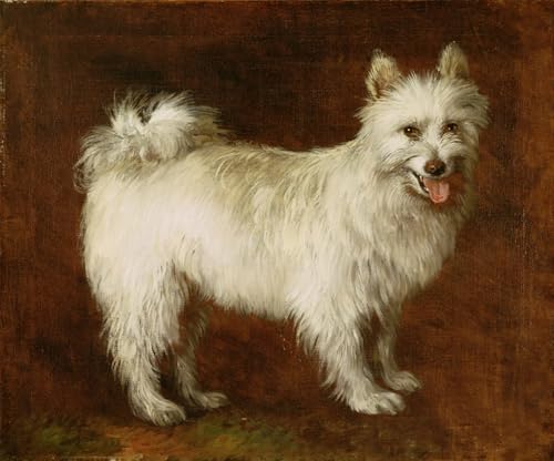 Tableau Chien Spitz Gainsborough pour salon élégant 60x90cm