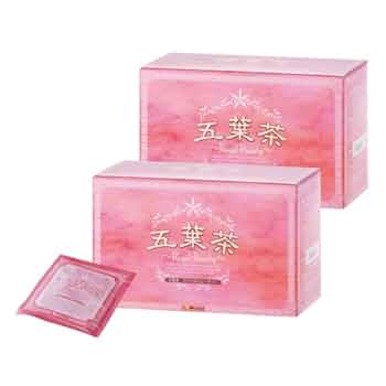 【FORDAYS】ダイエット茶×２箱 フォーディズ ダイエット茶 2箱 フォーデイズ ダイエット茶