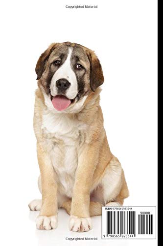 Central Asian Shepherd Dog Notebook For Dog Lovers: Composition Notebook 6x9" Blank Lined Journal - Image 2