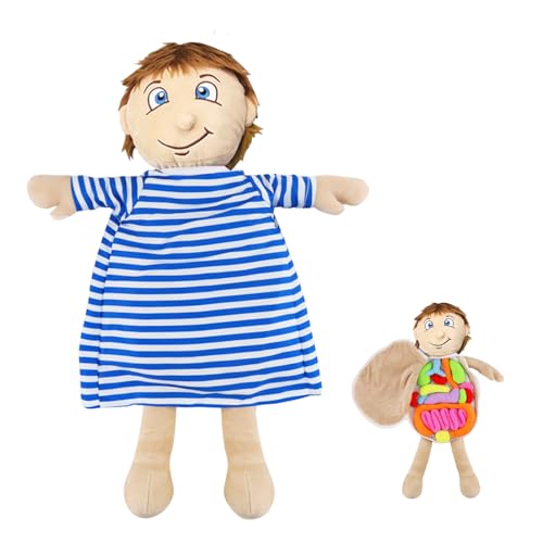Image of Vocheer Human Body Anatomy Toy, Montessori Preschool Educational Plush | 9 Organ Pieces, Science Learning Kits for Students, Body Organ Awareness Teaching Tools, for Boys and Girls Over 3 Years