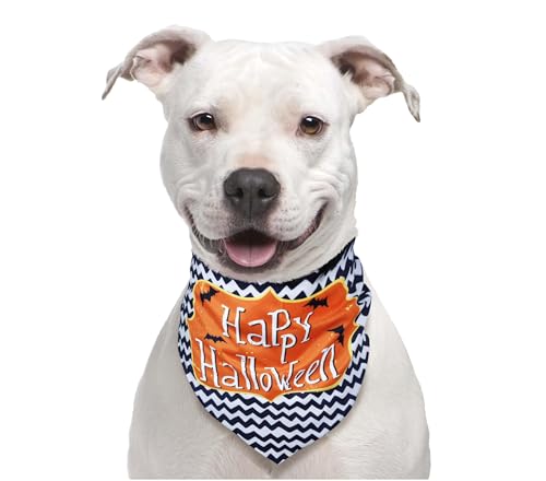 FIESTAS GUIRCA | Foulard pour Animaux Happy Halloween - Accessoire Textile pour Chiens et Chats Lors de Fêtes Déguisées et Célébrations - Idéal pour Halloween et Autres Fêtes - Noir et Orange