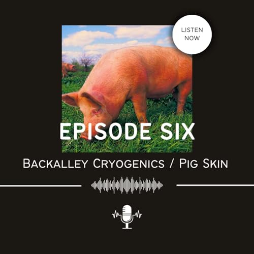 Back Alley Cryogenics / Pig Skin (with Hannah Altenbach)