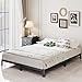 Lutown-Teen 5 Inch Low King Bed Frame with Rounded Corner Legs, 2000 LBS Heavy Duty Metal King Size Platform Bed Frame No Box Spring Needed, Noise Free, Easy Assembly, Black