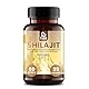 Pure Passion® Shilajit Kapseln - Extra Hochdosiert 1000mg, 50% Huminsäure, 12% Fulvinsäure – Silajit Original - Reich an Mineralien – Himalaya Shilajit Original