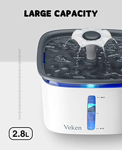 https://m.media-amazon.com/images/I/41ZDFBcRHVL._SL500_.jpg