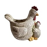 Application complète : soulevez n'importe quel espace avec la polyvalence de ces pots de fleurs pour poulet. Juste la pièce d'accent idéale pour exposer des fleurs séchées et des d'intérieur, c'est la solution idéale pour les rebords de fenêtre, les balcons, les salons, les jardins, les cuisines, les bureaux et les cafés.