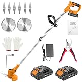 JYGMPRO 21V String Trimmer Cordless - Battery Powered Weed Wacker, 2 X 2.0Ah Battery and a Charger, Grass Trimmer, Brush Cutter and Edger Lawn for Garden/Yard