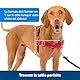 PetSafe Easy Walk-Geschirr, Anti-Zieh-Hundegeschirr, Verringert Würgen und Husten, Mit 1,8 M Leine, Größe M, Rot