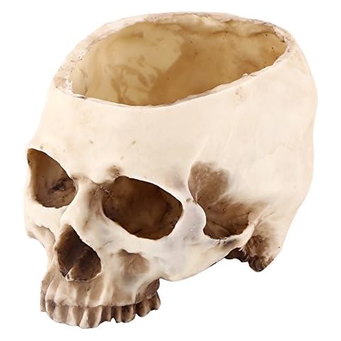 Strnek 11.5cm Skull Bowl Cover
