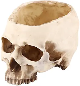 11.5cm Open Skeleton Skull Figurine Medium Bowl, Artificial Resin Skull Head Flower Pot Multifunctional Tabletop Storage Replica Skeleton Model Home Bar Table