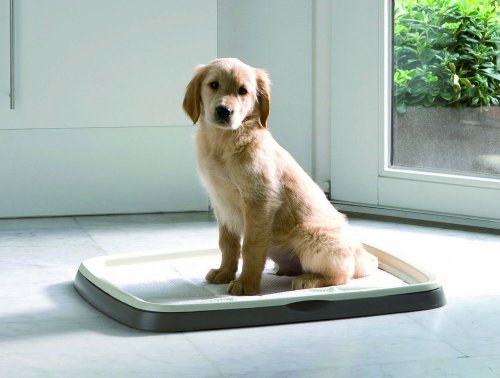 Image of Savic Puppy Trainer Refill 30 Pads Large 60 X 45 Cm