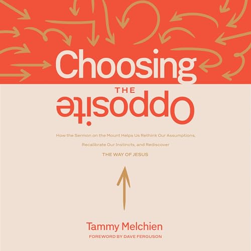 『Choosing the Opposite』のカバーアート