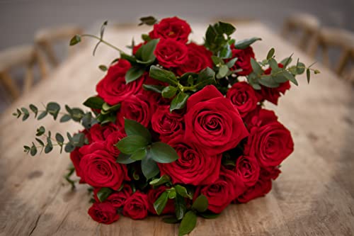 Anniversary Cheers Roses Bouquet #TOP3