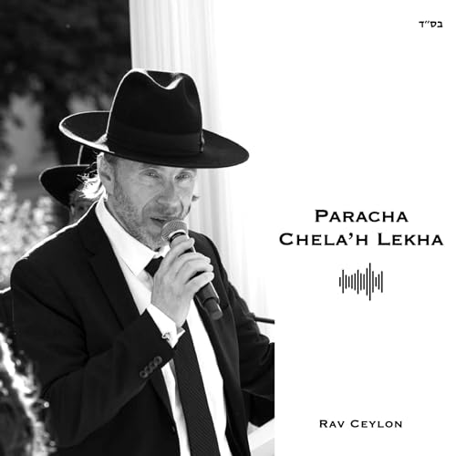 Paracha Chéla'h Lekha - Comment se Préserver de la Faute