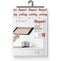Campana Extractora De Grasa Rayen | Filtro para Campana | Retiene Grasa y Vapores | Alta Calidad | Adaptable | Incluye Guantes | Medidas: 57 x 47 cm