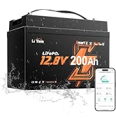 LiTime 12V100Ah リン酸鉄リチウムイオンバッテリー LiFePO4 BCIグループ31