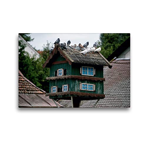 Preisvergleich Produktbild CALVENDO Taubenhäuser aus dem Dachauer Land