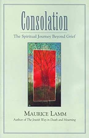 Consolation: The Spiritual Journey Beyond Grief Consolation: The Spiritual Journey Beyond Grief book cover