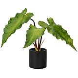 Fake Potted Plants Artificial Plants Indoor 11" Faux Plants Caladium Plant in Black Ceramic Pots for