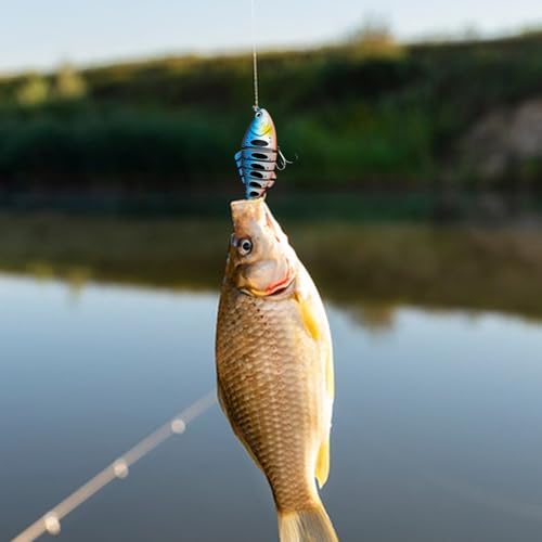 Leurres flottants pour perche truite sandre poisson multisegments d'eau douce