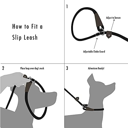 friends forever leash