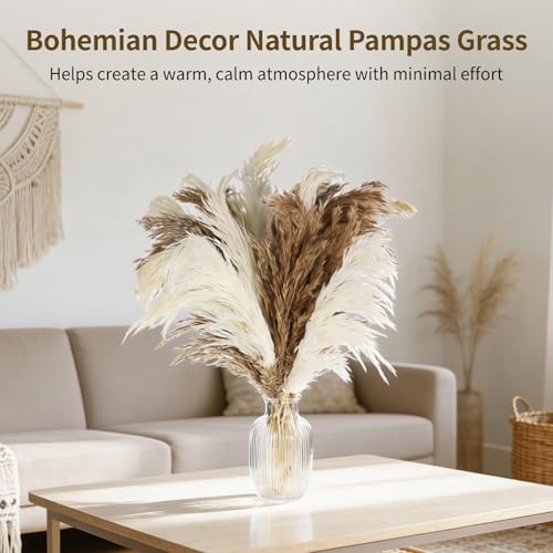 60 unidades de pasto pampas seco natural decorativo miniatura 4