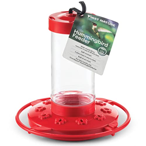 10 Best Hummingbird Hand Feeders 2023 There's One Clear Winner