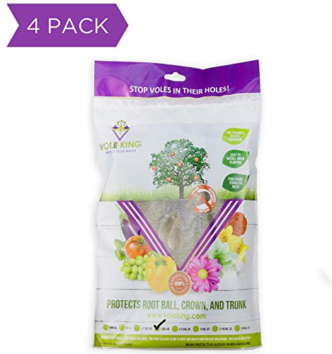 VOLE KING Plant Baskets, 1 Gallon, Pack of 4 - Protect Plants, Trees