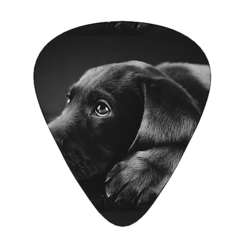 hbOubN M^[sbN Guitar Pick 12Zbg eBAhbv^ GLM^[/AR[XeBbNM^[/NVbNM^[/x[X̗KɍœK12Zbg