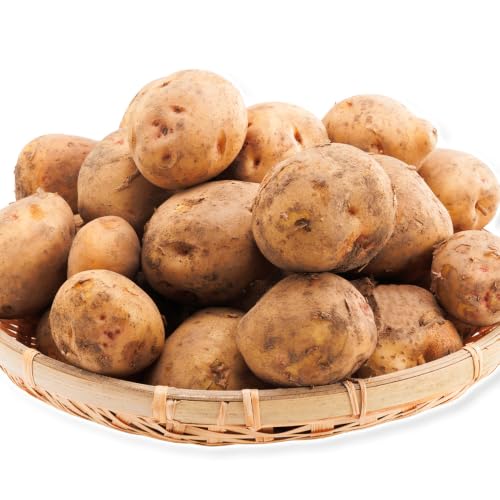 じゃがいも詰め合わせセット 3kg 10種のうち3種をお届け メークイン 男爵 とうや 十勝こがね キタアカリ アンデスレッド インカのめざめ インカのひとみ きたかむい のざわ農園 [9月上旬-12月末頃出荷予定]