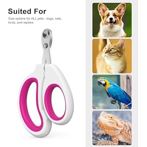 Cat-Nail-Clippers-Cat-Claw-Trimmers-Suitable-for-Small-Animals-Such-as-Cats-Birds-Hamsters-Rabbits-Hedgehogs-ferrets-Chinchillas-Guinea-pigsEtc-Professional-Nail-Trimmers-for-Small-Animals - Cucciolini Doodles   Cat-Nail-Clippers-Cat-Claw-Trimmers-Suitable-for-Small-Animals-Such-as-Cats-Birds-Hamsters-Rabbits-Hedgehogs-ferrets-Chinchillas-Guinea-pigsEtc-Professional-Nail-Trimmers-for-Small-Animals