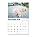 2020 Wall Calendar - Pooping Dogs 2020 Calendar with Thick Paper, Large 11