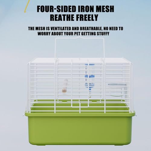 Cage de transport pour oiseaux spacieuse avec poignée ergonomique pour petits animaux