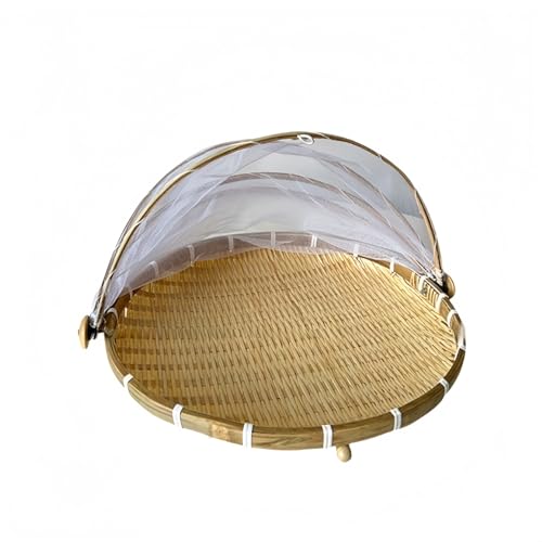 AACV VR|  lbgt ʋCoXPbg ~`t^t Q΍ ؂ [p A ~    ي䏊p~ (L) [sAi]