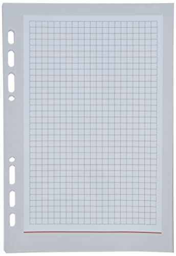 bsb Ersatzeinlage Notizen - 6-fach Lochung - Größe: circa A5 - für bsb Manager Terminplaner - 02-0051