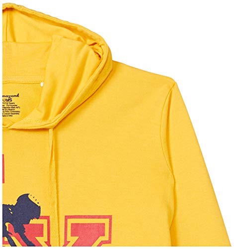 Image of Chromozome Boys Cotton Hooded Neck Hoodies