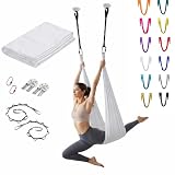 Amaca aerea / altalena set per esercizi di inversione e yoga antigravitazione/yoga volante, migliora la flessibilità e la forza di base per l'allenamento fitness a casa con moschettoni, catene a