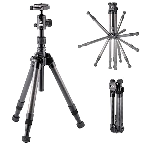 41ZDoJ9gpEL.jpg 41ZDoJ9gpEL.jpg