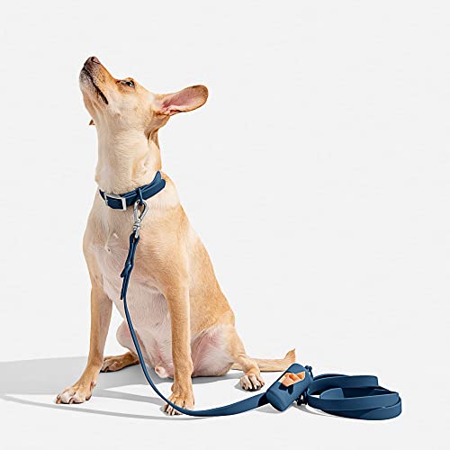 Wild One Navy Dog Collar, Medium - Thumbnail 3