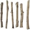 palo vencedor (6 sticks) palos de santeria religiosn elegua 7 potencias