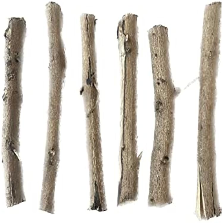 Palo Vencedor (6 Sticks) Palos De Santeria Religiosn Elegua 7 Potencias