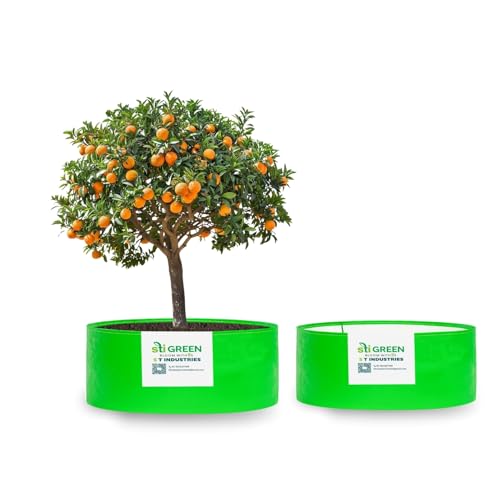 Image of HDPE Grow Bags for Plants 18X12 Inch (Pack of 2) | 260 GSM Heavy Duty UV-Protected Round Green Colour Plant Bags for Terrace and Vegetable Gardening | Strong & Reusable|