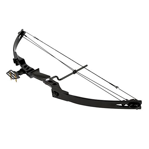 iGlow 55 lb Black Archery Hunting Compound Bow 175 150 80 50 40 lbs Crossbow