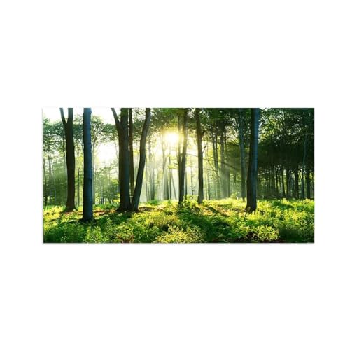 Décoration murale salon avec cette toile paysage forêt et soleil